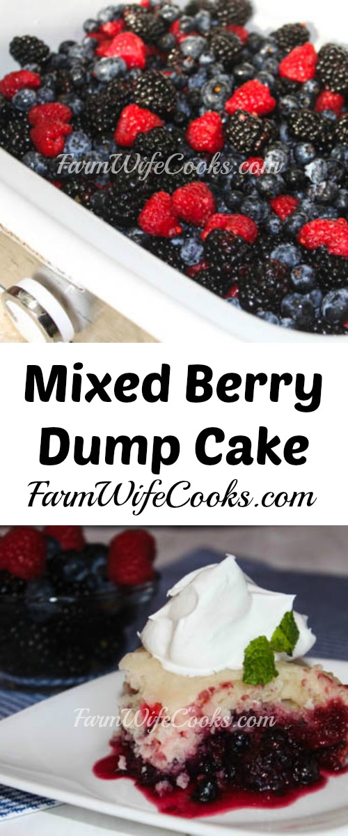 Casserole Crock Pot Dump Cake with Mixed Berries