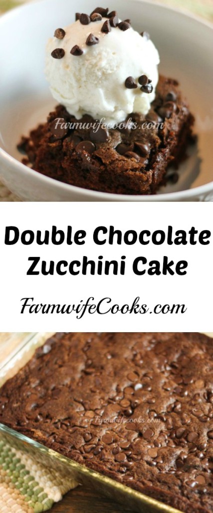 Are you looking for a delicious way to get your veggies? This Double Chocolate Zucchini Cake is the perfect treat!
