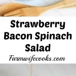 Are you looking for a quick and easy salad recipe? This Strawberry Bacon Spinach Salad won't disappoint!