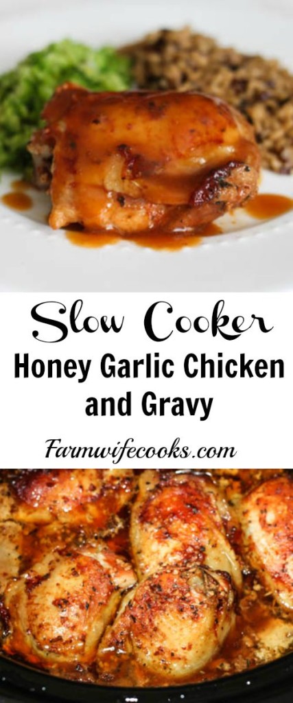 Are you looking for a great slow cooker chicken meal? This Honey Garlic Chicken recipe has great flavor and can be served with or with out gravy.