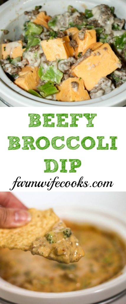 Are you looking for a great family friendly dip recipe? This Beefy Broccoli Dip would be great for tailgating or family game night!