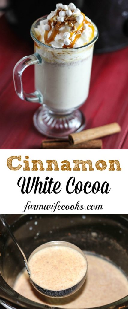 Mot your typical cocoa recipe, this Cinnamon White Cocoa is a great slow cooker drink recipe that is a hit with kids and adults alike! Our family favorite!