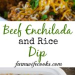 Are you looking for a great dip recipe? This Crock Pot Beef Enchilada and Rice Dip has all the taste of your favorite Mexican meal but in dip form!