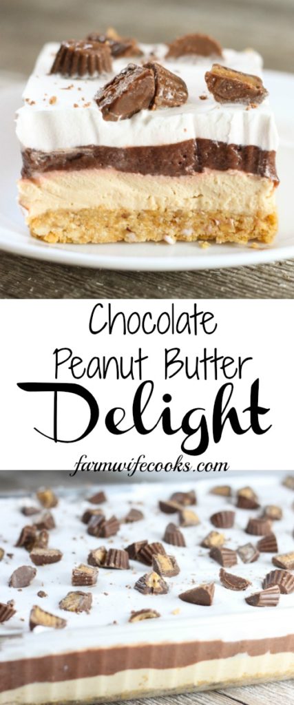 This No Bake Chocolate Peanut Butter Delight is the perfect layered dessert recipe for the chocolate peanut butter lovers in your life!