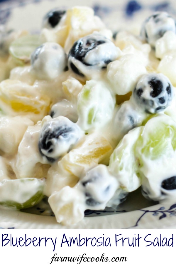 Blueberry Ambrosia Fruit Salad is a twist on the classic delicious Southern dessert recipe, filled with blueberries, marshmallows and a creamy dressing.