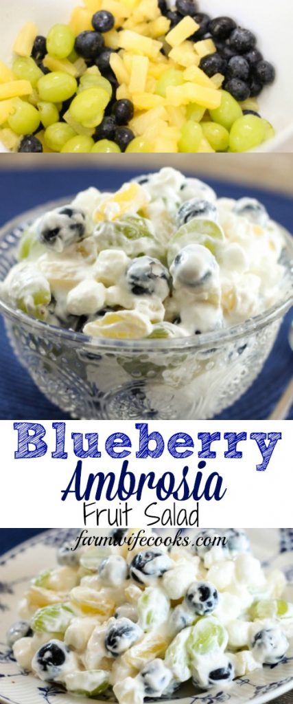 Blueberry Ambrosia Fruit Salad is a twist on the classic creamy Southern dessert recipe, filled with blueberries, marshmallows and other fruit.
