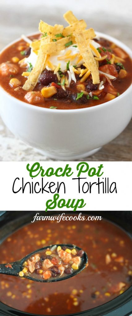 This Crock Pot Chicken Tortilla Soup is easy to make and is an all day slow cooker recipe with great flavor. 