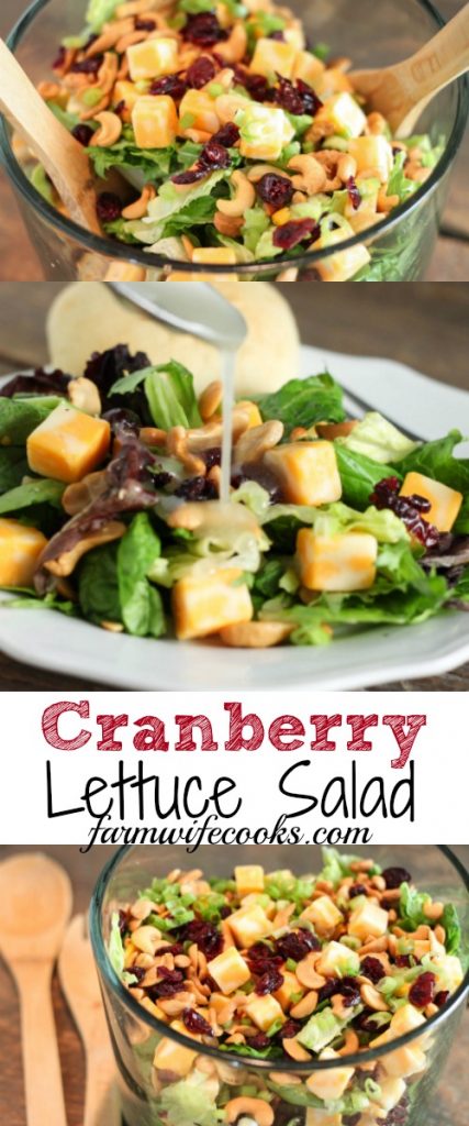 This Cranberry Lettuce Salad is the perfect salad for your family Thanksgiving or Christmas but easy enough for a weeknight meal. This recipe is the perfect healthy side recipes for a holiday pitch-in.