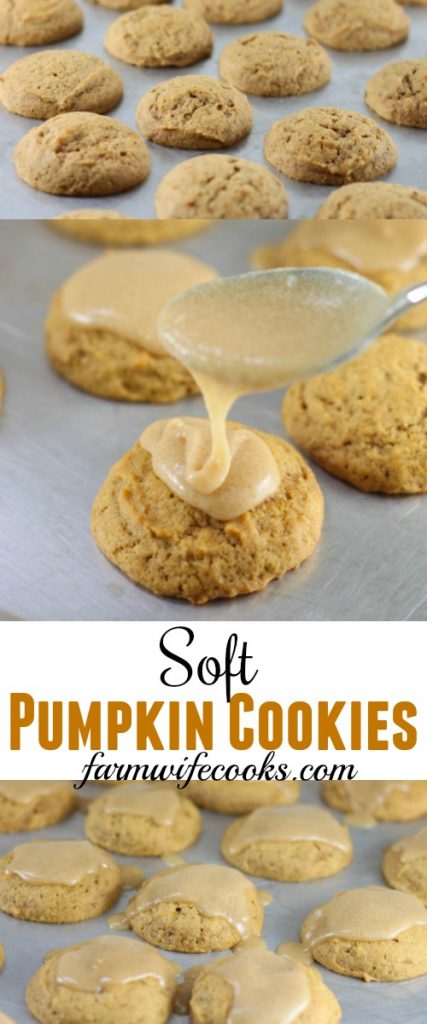 These Soft Pumpkin Cookies are melt in your mouth good. This is one of our families favorite, we enjoy them all year long.