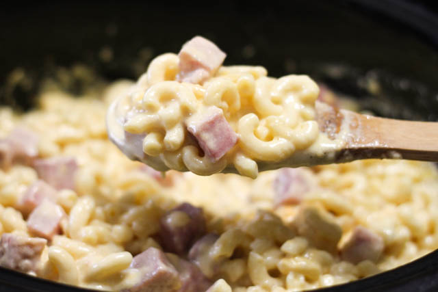 Everyone will ask for seconds when you make this recipe for Crock Pot Macaroni and Cheese with Ham. A yummy comfort food casserole.