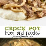 Are you looking for an easy Crock Pot Beef and Noodle recipe? This recipe is a hit and loved by all!