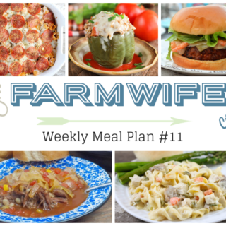 Welcome to this week’s meal plan I have a great group of recipes for you this week including; Crock Pot Lasagna Casserole, Burrito Style Beef Enchiladas, Crock Pot Cheesy Chicken and Noodles, Instant Pot Beef Vegetable Soup, Pepperoni Pizza Pasta Casserole, Cajun Pork Burgers with Shrimp and Spicy Aioli, Instant Pot Italian Stuffed Peppers, Pumpkin Waffles, Strawberry Cheesecake French Toast Casserole, Greek Chicken Kabobs, Strawberry Spinach Salad, Fiesta Ranch Crackers, Zesty Seasoned Goldfish Crackers, Chocolate Puffs and Pumpkin Sheet Cake with Cream Cheese Icing.