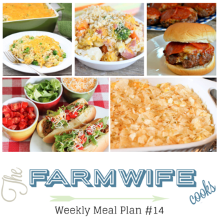 Welcome to this week’s meal plan I have a great group of recipes for you this week including; Hot Chicken Salad, Crock Pot Taco Joes, Cheesy Ham & Vegetable Bake, Gramma's Beef Barley Soup, Pepperoni Pizza Burgers, Veggie Tortilla Roll Ups with Crockpot Scalloped Potatoes, Cheesy Chicken Broccoli Rice Casserole, Blueberry French Toast Casserole, Cheeseburger Quiche, Cube Steak Sandwiches, Southwest Fajita Steak Salad, Crock Pot Chicken Enchilada Dip, Sausage and Cheese Stuffed Jalapenos, Pumpkin Pecan Pie and Marshmallow Creme Rice Crispy Treats. 