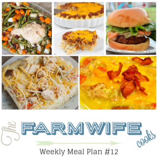 Welcome to this week’s meal plan I have a great group of recipes for you this week including; Honey Glazed Turkey and Potatoes, Mexican Corn and Chicken Chowder, Sour Cream Noodle Bake, Cheesy Potato Soup, Chicken Ranch Vegetable Pizza, Cajun Pork Burgers with Shrimp and Spicy Aioli, Classic Meatloaf, Instant Pot Low-Carb Mashed Cauliflower, Soft Pumpkin Cookies and Grandma's Chocolate Fantasy Fudge.