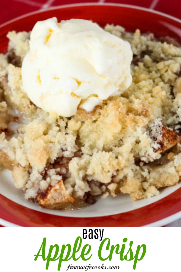 Easy Apple Crisp is a classic fall favorite filled with crisp apples, cinnamon, butter and sugar and topped with vanilla ice cream.