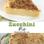 Zucchini Pie is a great summer dessert recipe. This pie is sweet with a crust and tastes like a sugar cream pie but is made with zucchini.