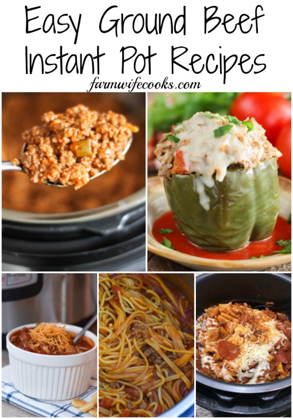 Easy Ground Beef Instant Pot Recipes